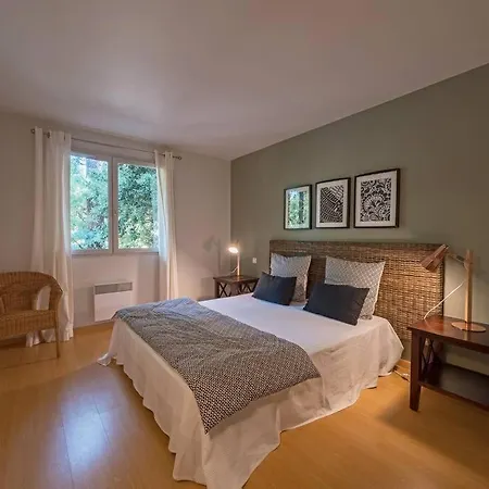 Les Pins A Deux Pas De La Pyla Sur