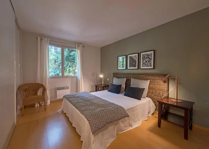 Les Pins A Deux Pas De La Pyla Sur